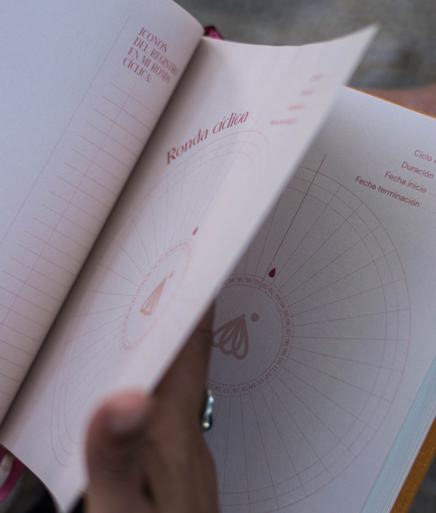 Ronda 2026 ✨ Agenda cíclica