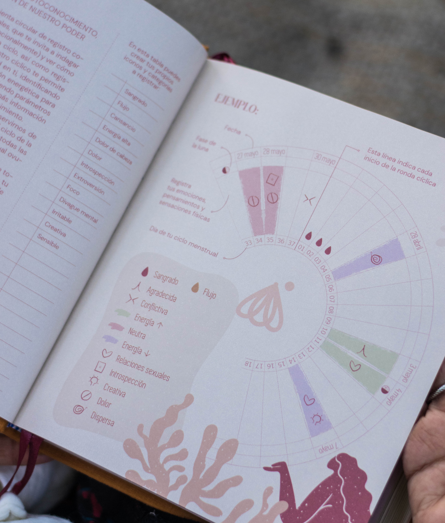 Ronda 2026 ✨ Agenda cíclica