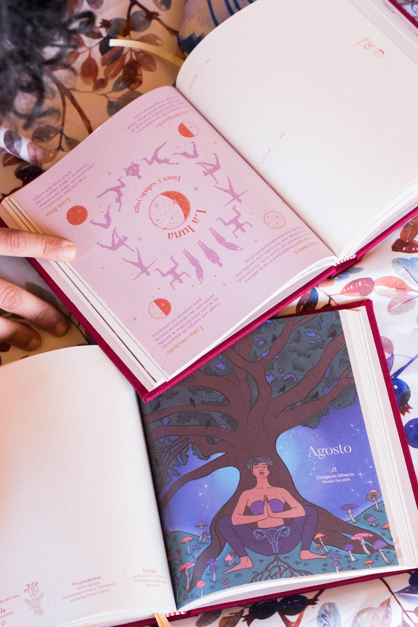 Ronda 2026 ✨ Agenda cíclica