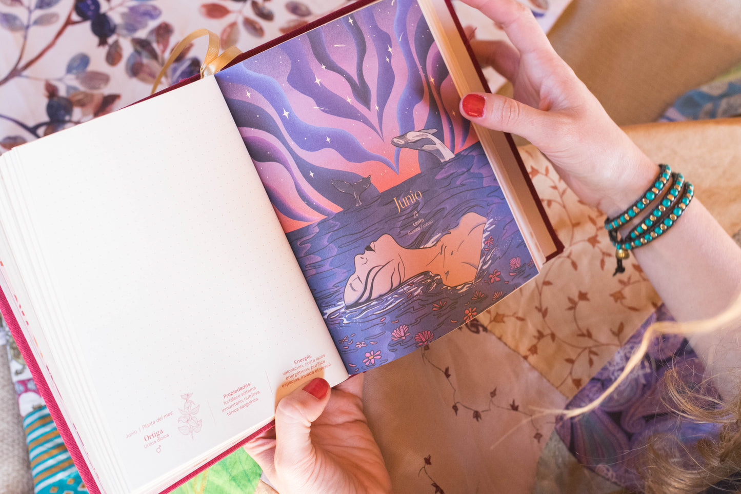 Ronda 2026 ✨ Agenda cíclica